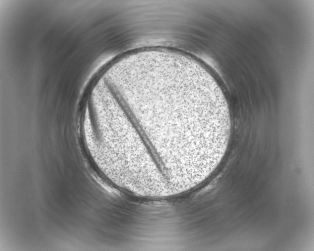 X0000065261119200603172223