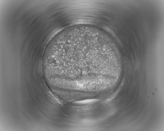 X0000065261121200603172223