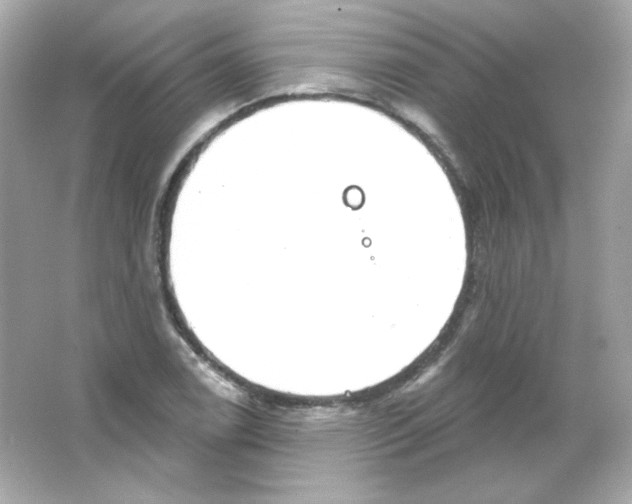 X0000065261122200603172223