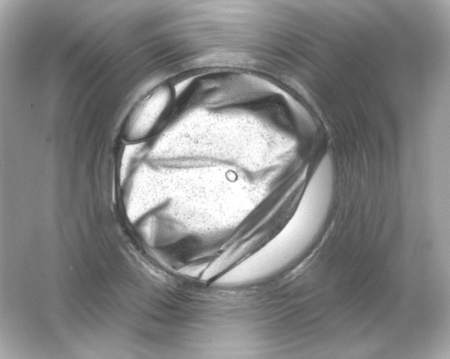 X0000065261123200603172223