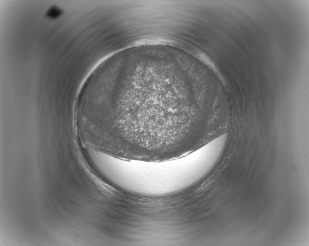 X0000065261124200603172223