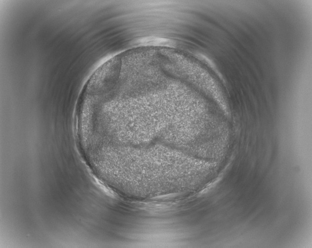 X0000065261125200603172223