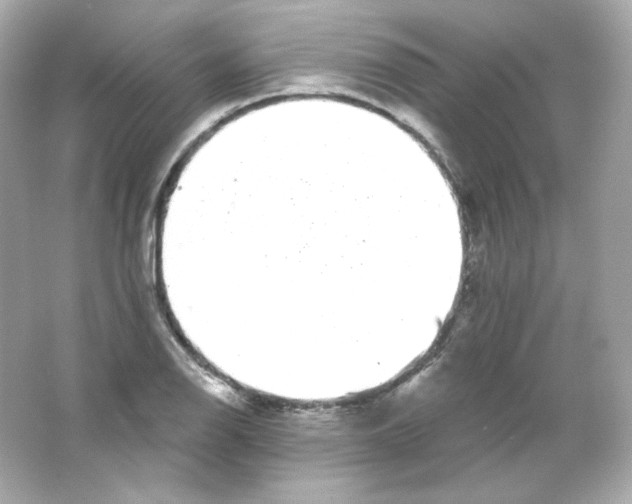 X0000065261126200603172223