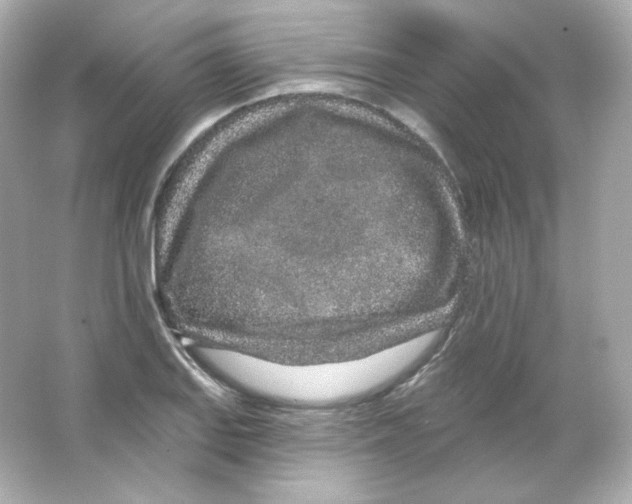 X0000065261127200603172223