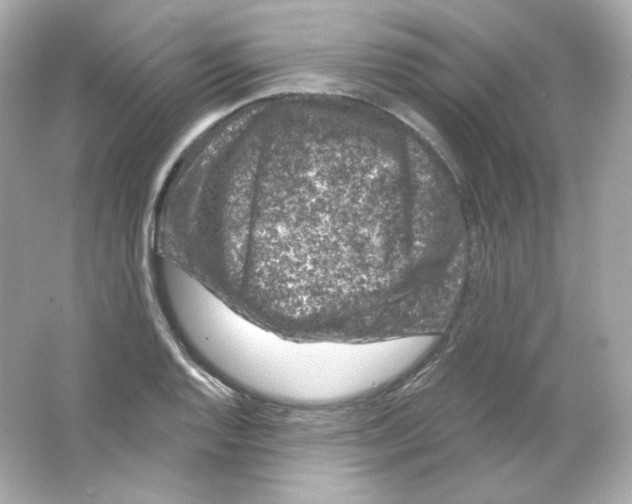 X0000065261128200603172223