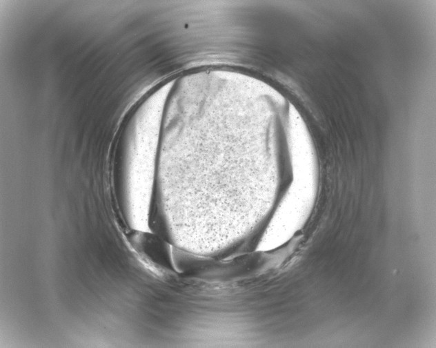 X0000065261129200603172223