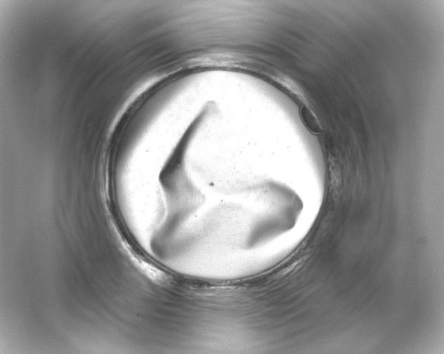 X0000065261131200603172223