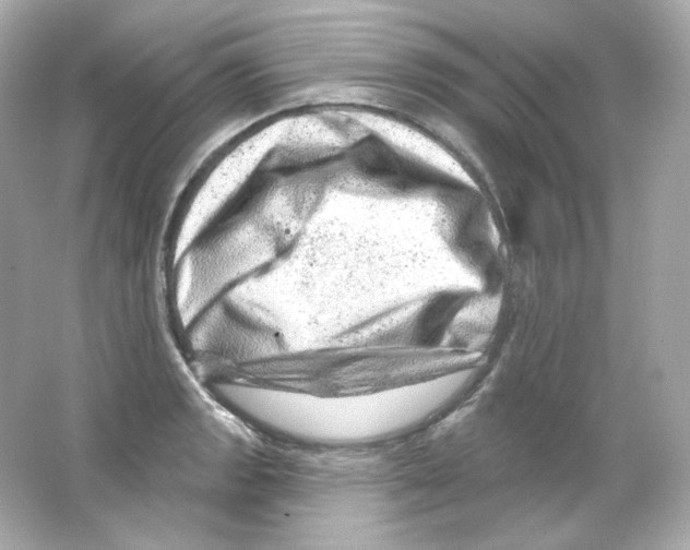 X0000065261133200603172223