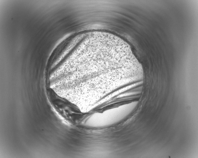 X0000065261134200603172223