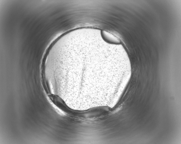 X0000065261135200603172223