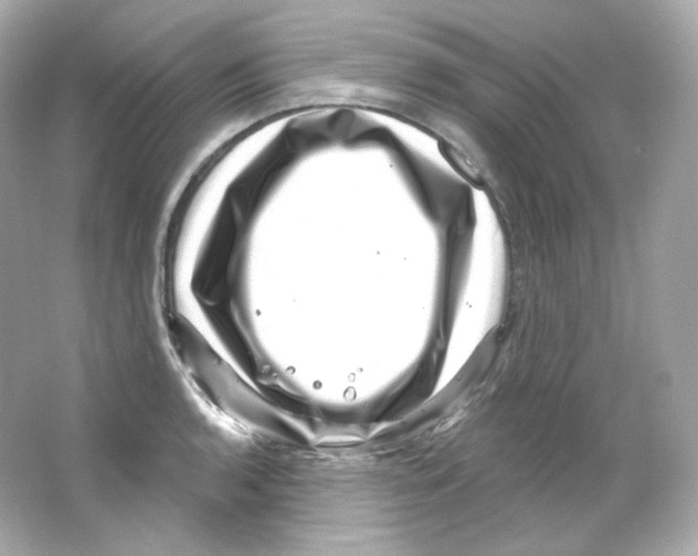 X0000065261136200603172223