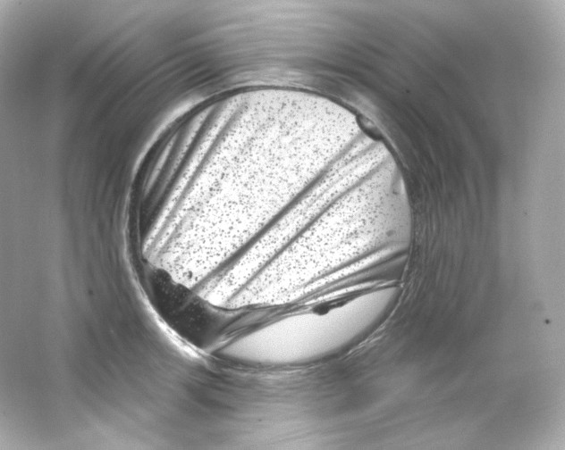 X0000065261139200603172223