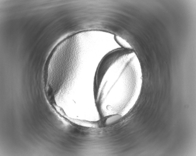 X0000065261142200603172224