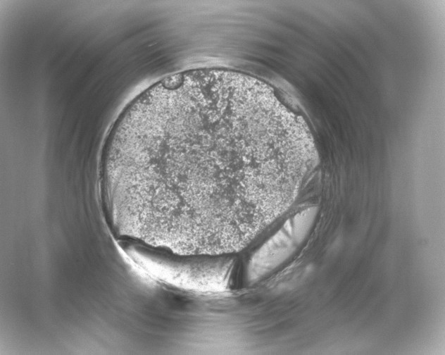 X0000065261143200603172224