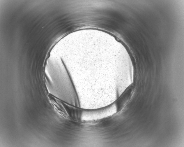 X0000065261145200603172224