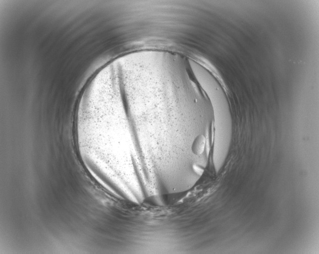 X0000065261146200603172224