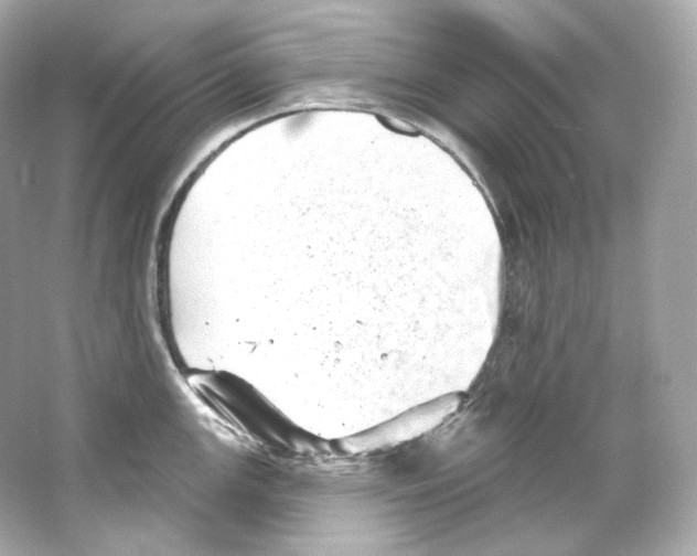 X0000065261147200603172224