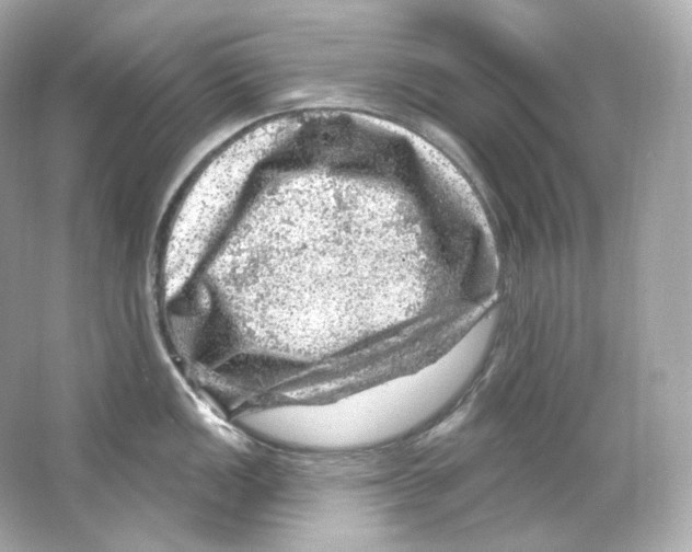 X0000065261149200603172224