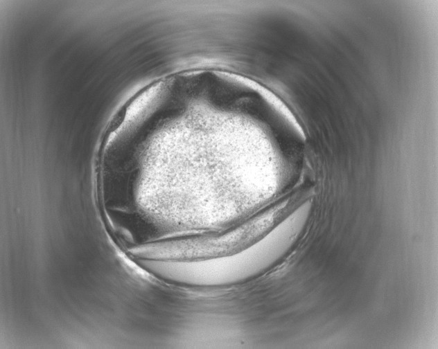 X0000065261151200603172224