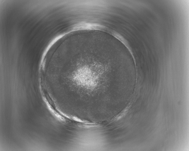 X0000065261152200603172224