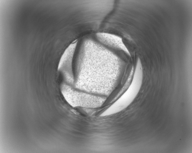 X0000065261153200603172223