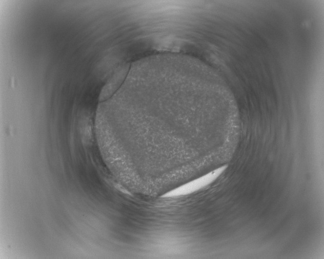 X0000065261154200603172223