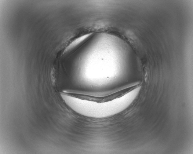 X0000065261156200603172223