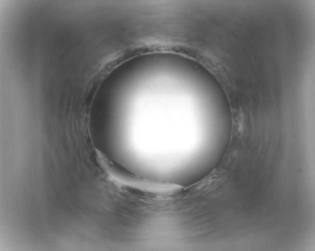 X0000065261157200603172223