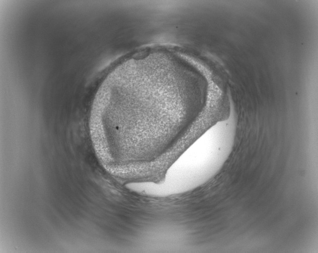 X0000065261159200603172223