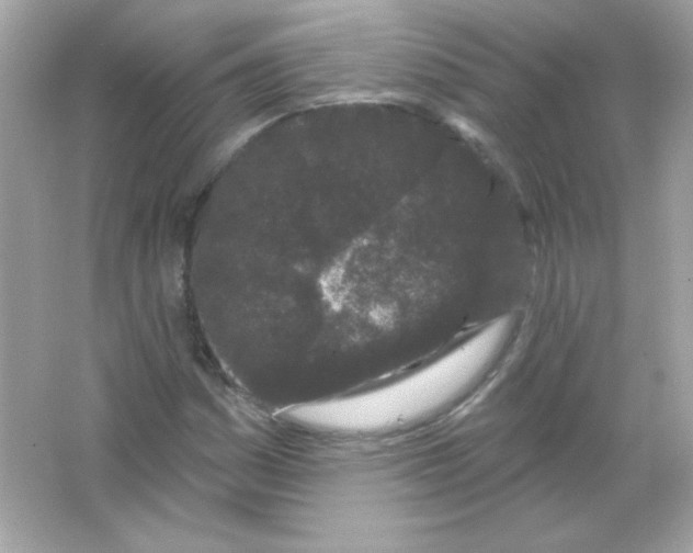 X0000065261161200603172223