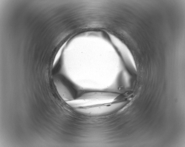 X0000065261162200603172223