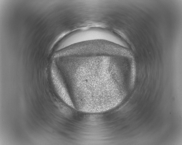 X0000065261163200603172223