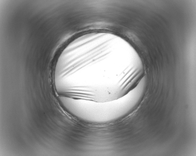 X0000065261164200603172223