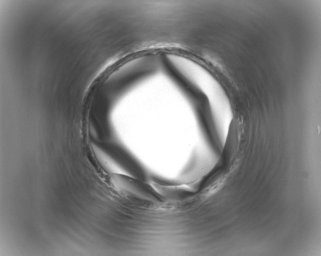 X0000065261165200603172223