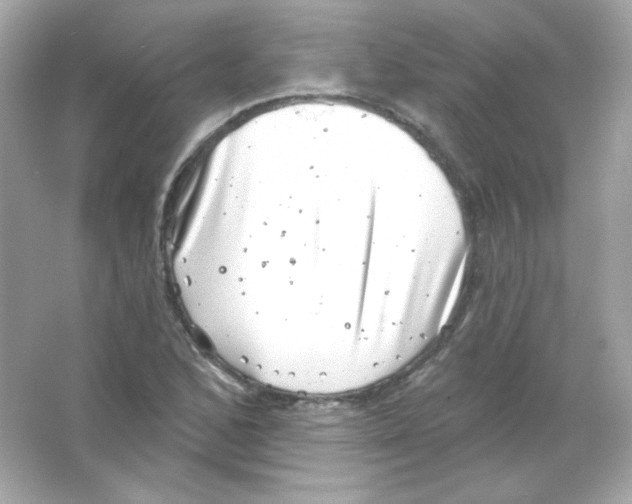 X0000065261168200603172223