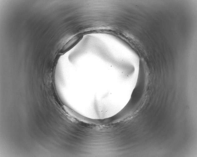 X0000065261169200603172223