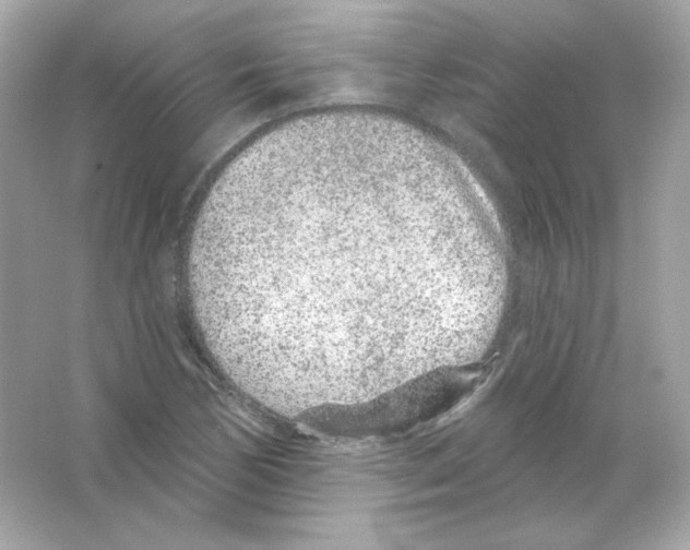 X0000065261170200603172223