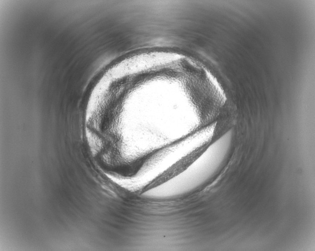 X0000065261171200603172222