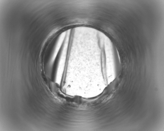 X0000065261172200603172222