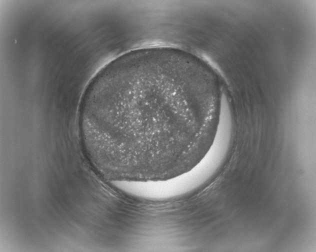 X0000065261173200603172222