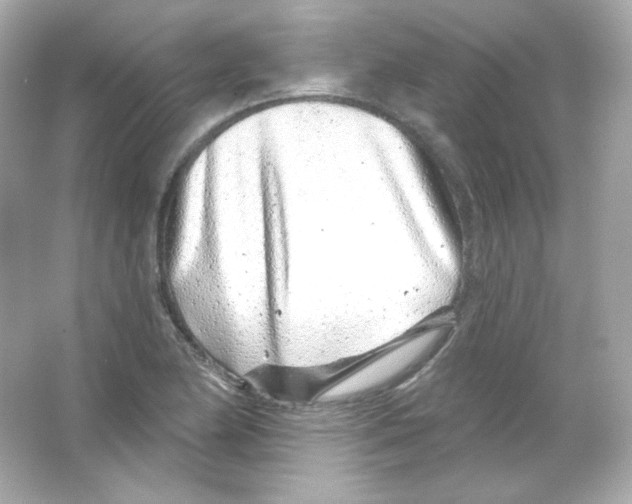 X0000065261174200603172222