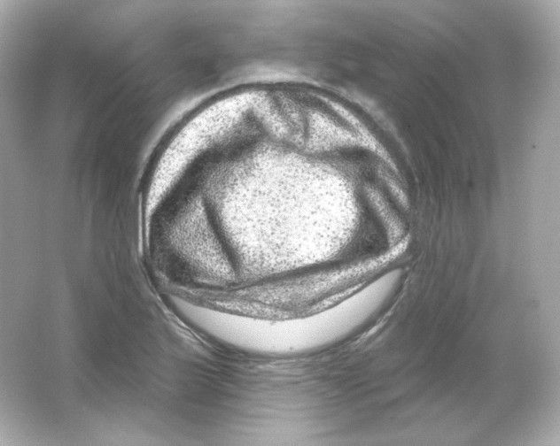 X0000065261175200603172222