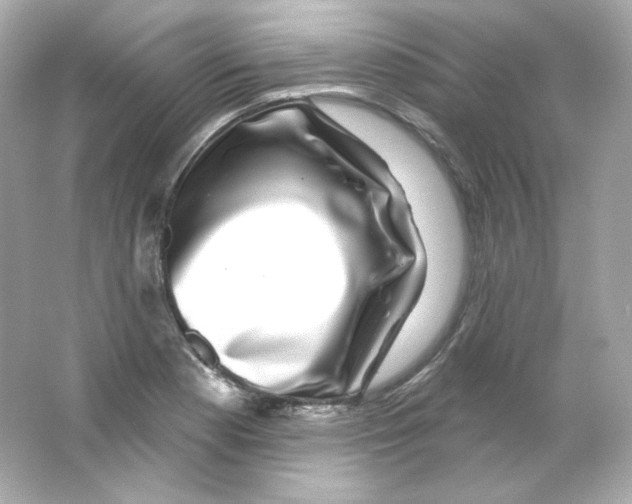 X0000065261177200603172222