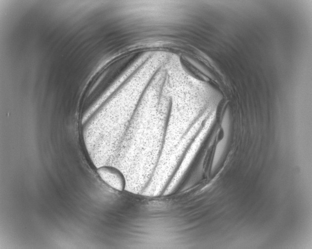 X0000065261178200603172222