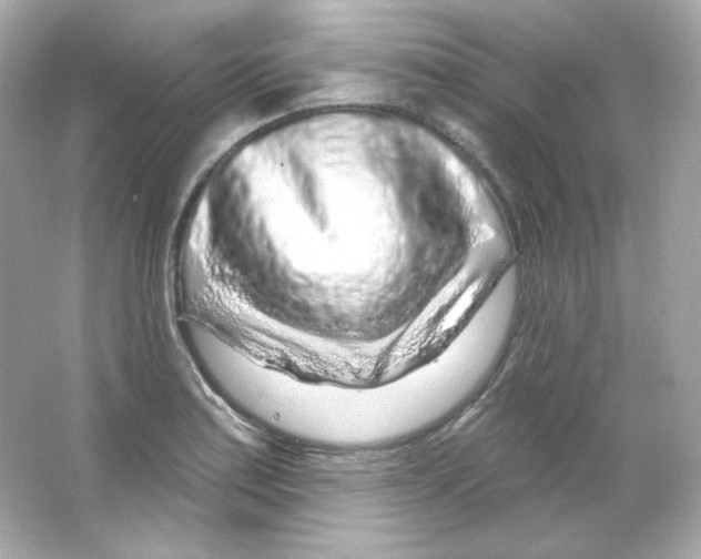 X0000065261179200603172222