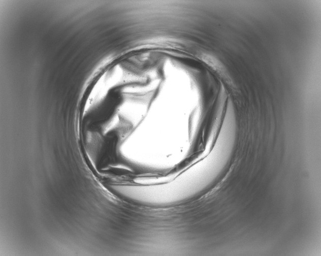 X0000065261180200603172222