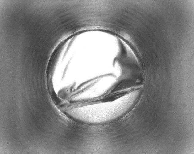 X0000065261181200603172222