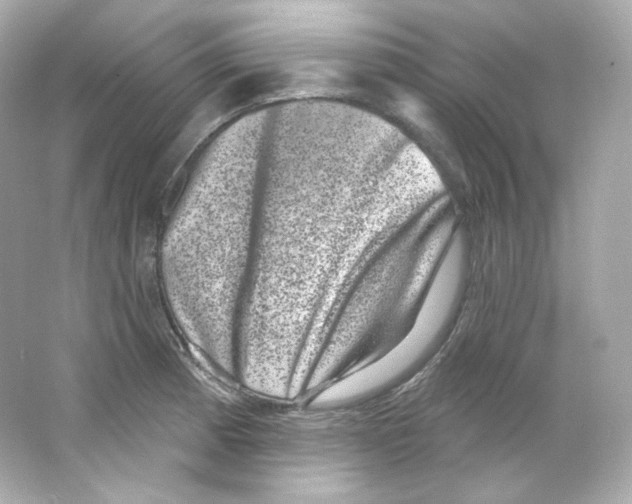 X0000065261185200603172222