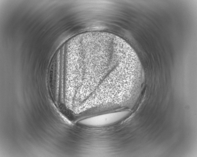 X0000065261186200603172222