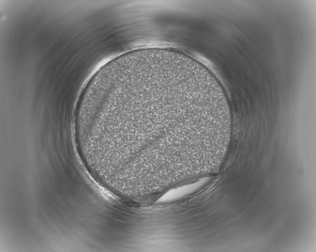 X0000065261187200603172222